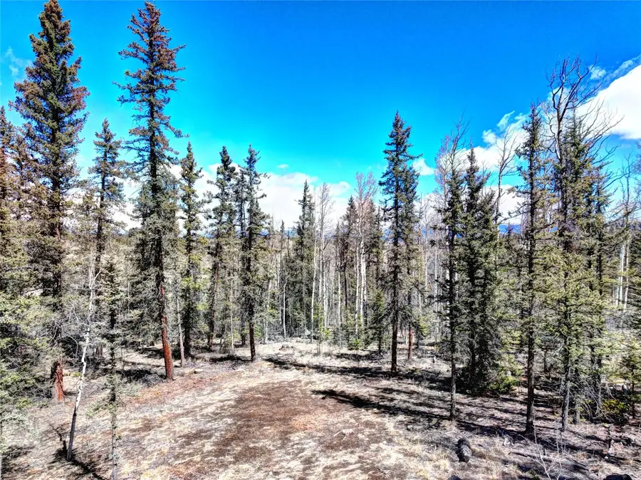 1059 Piaute Way, Como, CO 80432 - #3