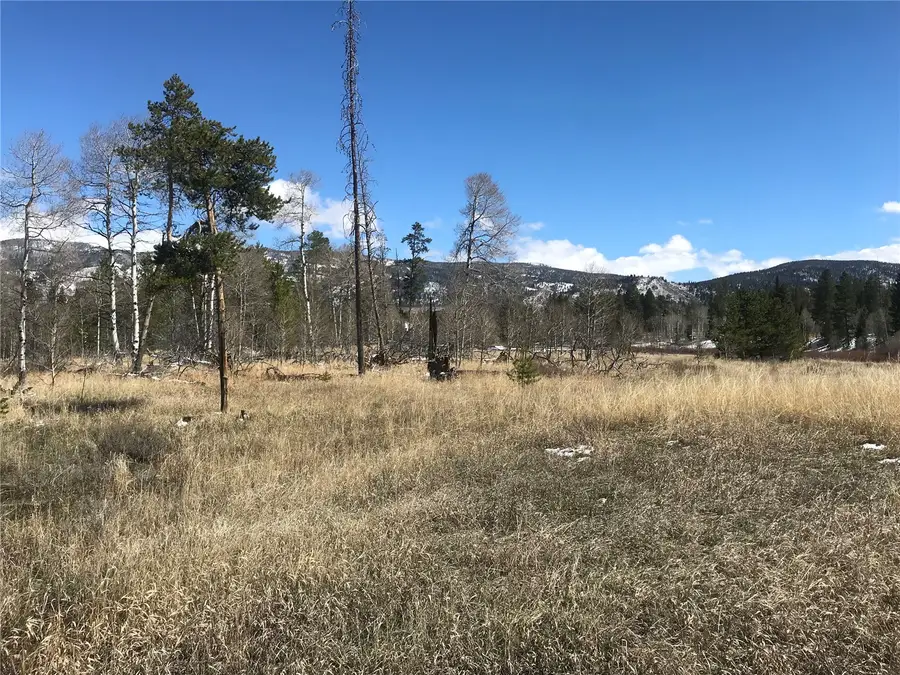 21070 Stallion Way, Oak Creek, CO 80467 - #2