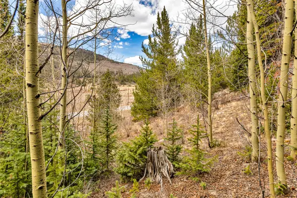 55780 Highway 9, Alma, CO 80440