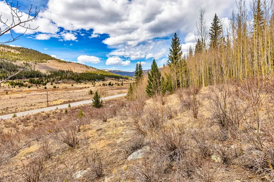 55780 Highway 9, Alma, CO 80440 - #2