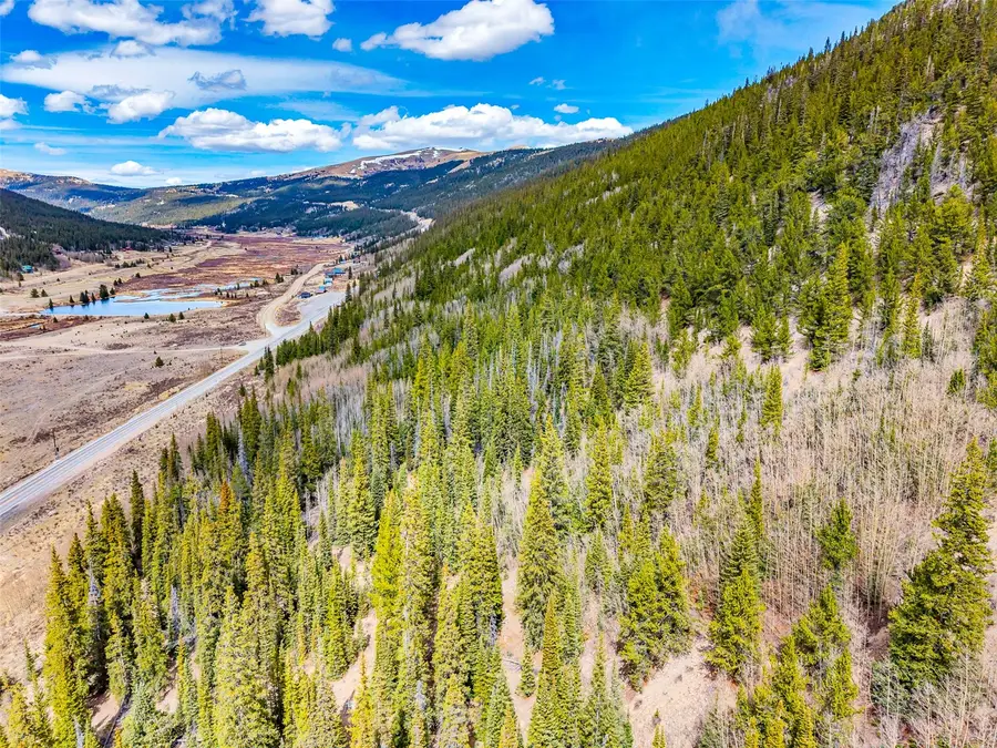 55780 Highway 9, Alma, CO 80440 - #3