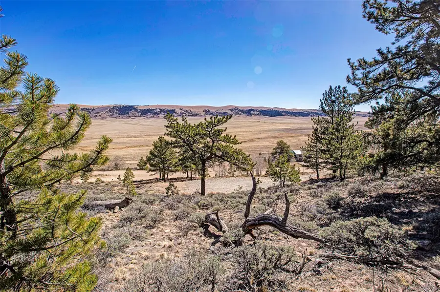 3129 Redhill Road, Fairplay, CO 80440 - #2