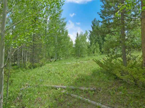 616 Aspen Drive, Silverthorne, CO 80498