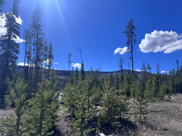 TBD Thoroughbred Trail, Oak Creek, CO 80467