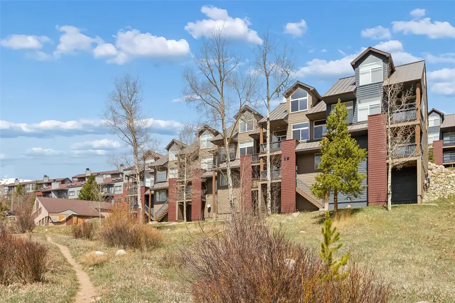 121 Cydney Lane, Silverthorne, CO 80498 - #2