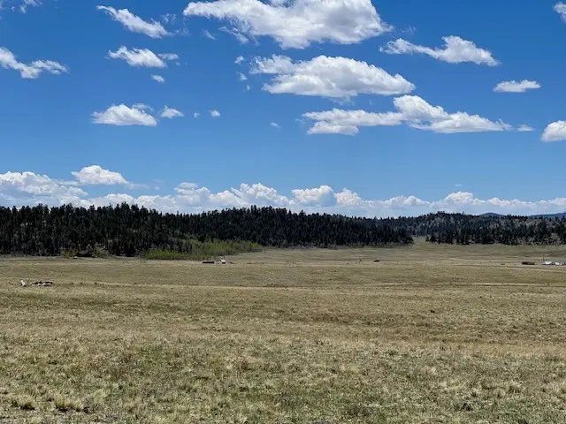 200 Cedar Lane, Hartsel, CO 80449 - #2