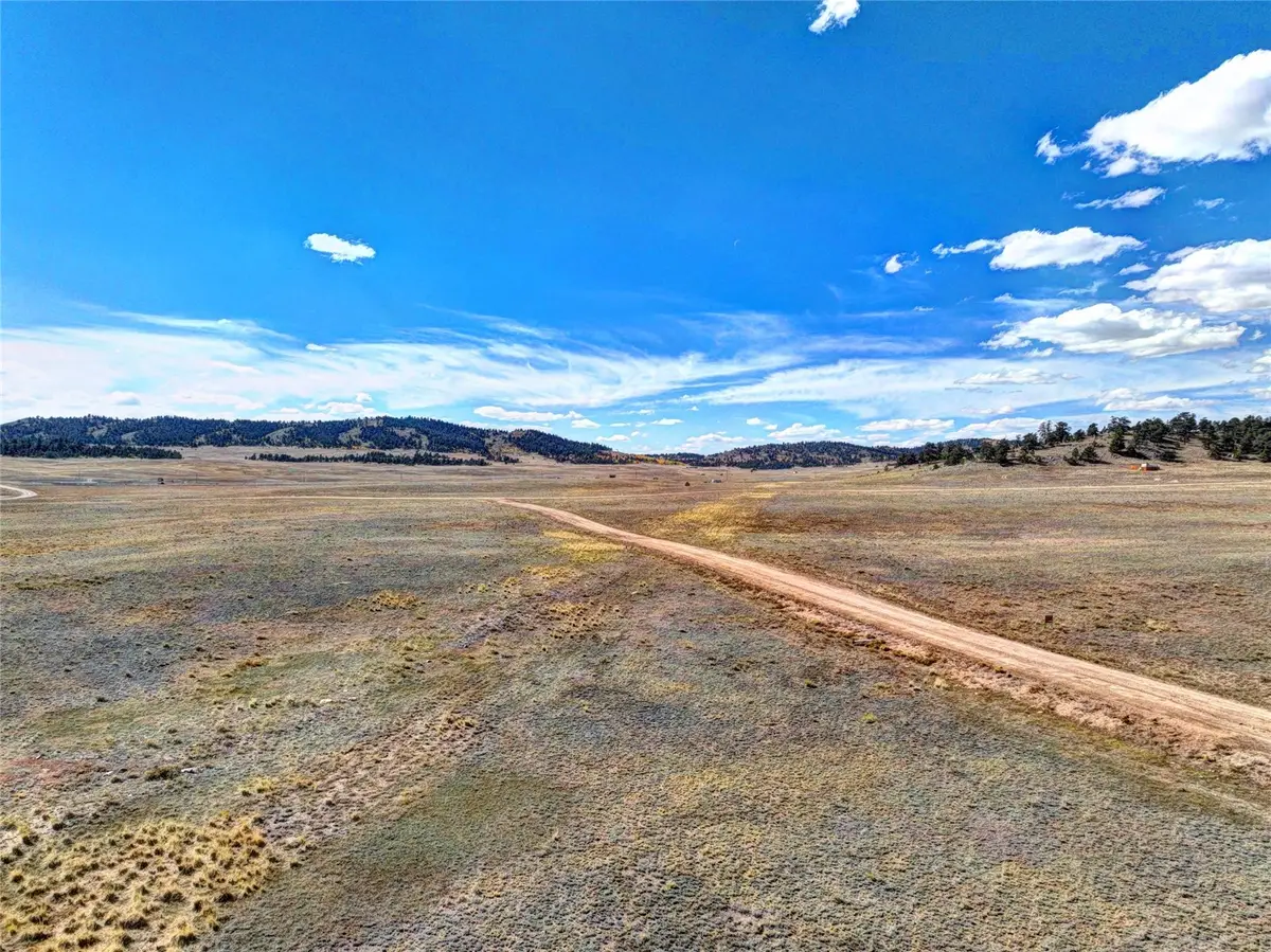 236 Cheyenne Trail, Hartsel, CO 80449 - #1