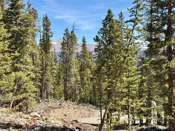 313 Porcupine Road, Fairplay, CO 80440