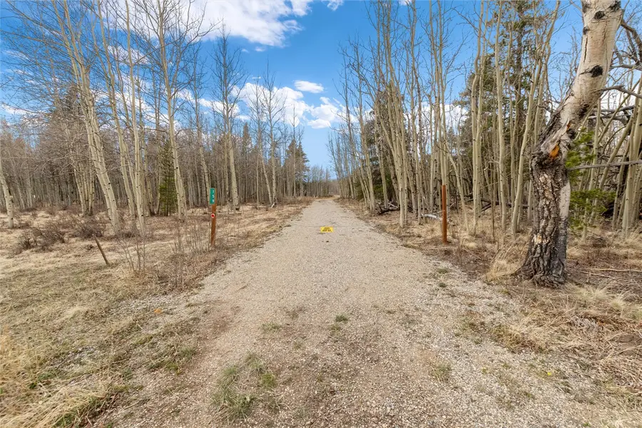 159 Bluestem Court, Fairplay, CO 80440 - #3