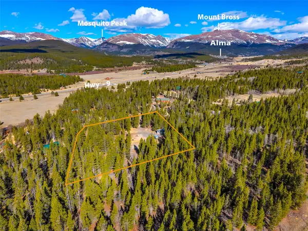 265 Placer Drive, Alma, CO 80420