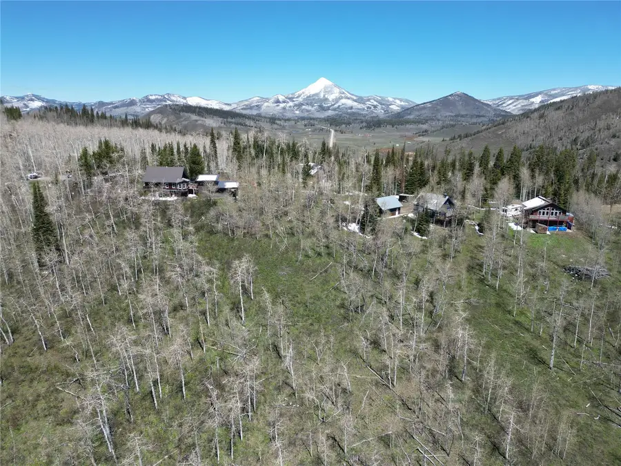 57960 Longfellow Way, Clark, CO 80428 - #2