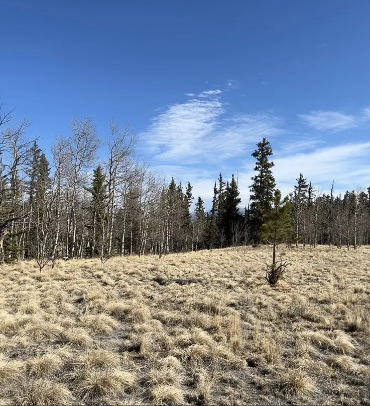 27 Warpath Road, Como, CO 80432 - #2