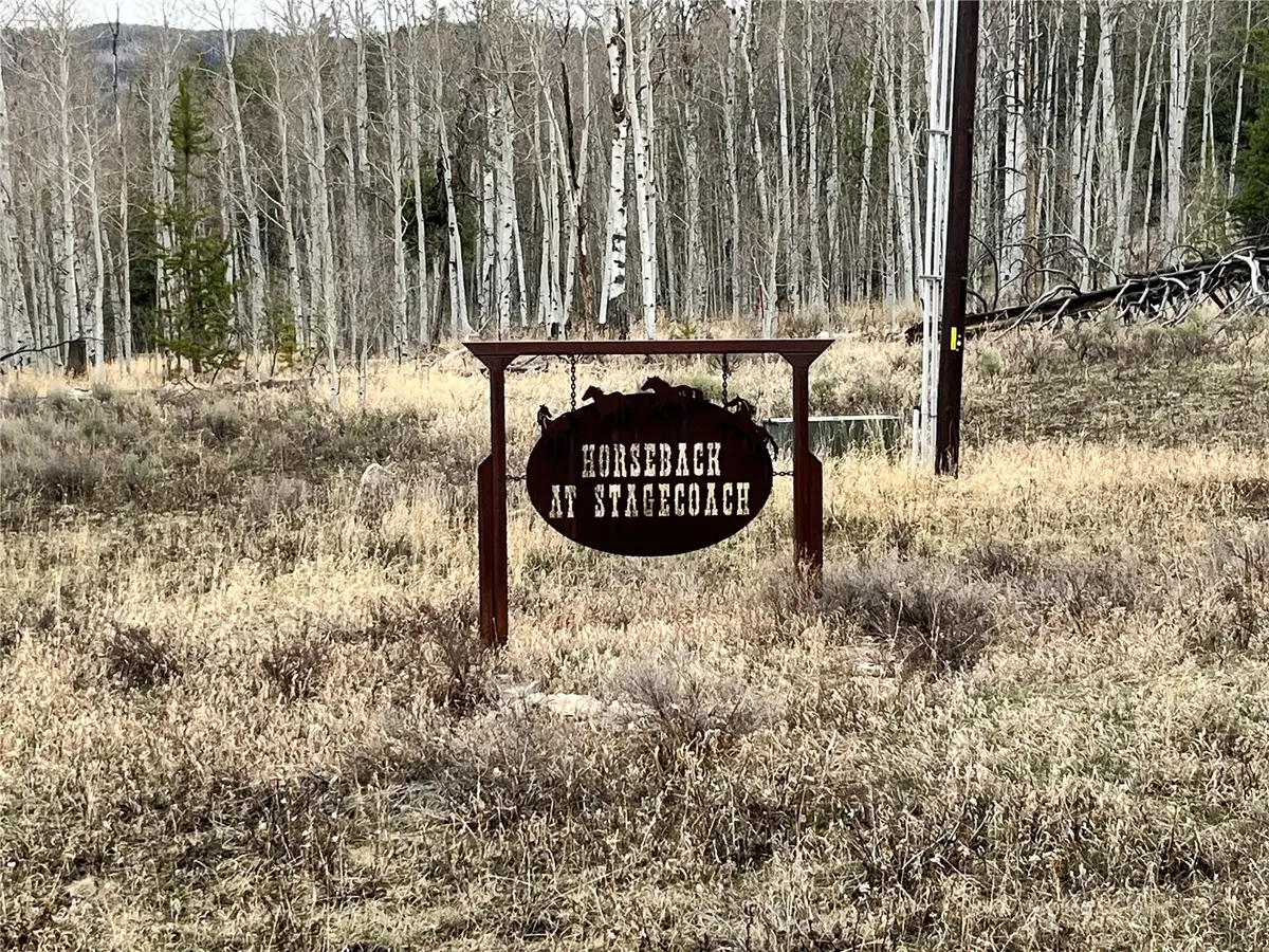 33505 Seneca Trail, Oak Creek, CO 80467 - #1