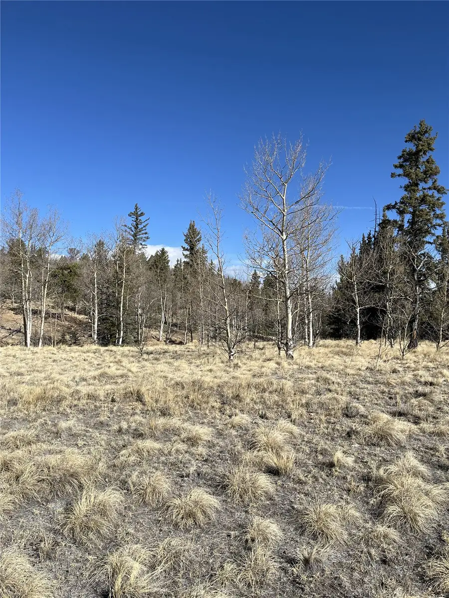 325 Shoshone Drive, Como, CO 80432 - #2