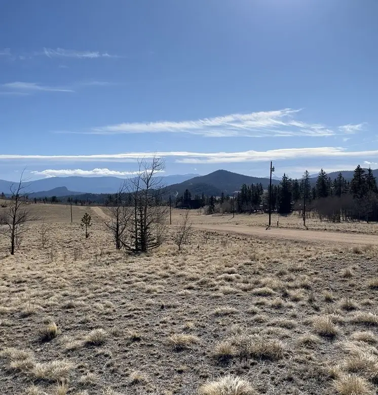 325 Shoshone Drive, Como, CO 80432 - #3