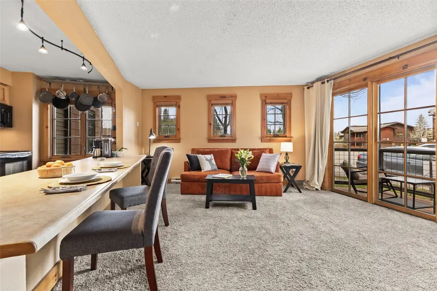 2955 Columbine Drive #10, Steamboat Springs, CO 80487 - #2