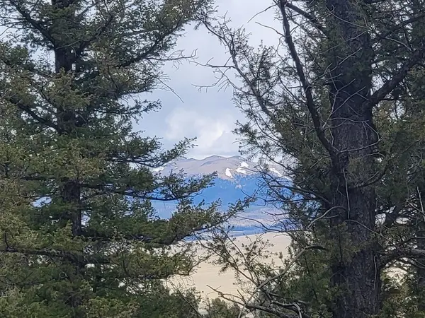 1941 Redhill Road, Fairplay, CO 80440