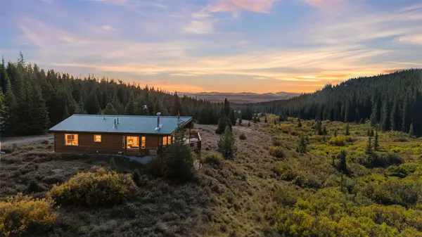 162 S Silk Sisters Place, Fairplay, CO 80440