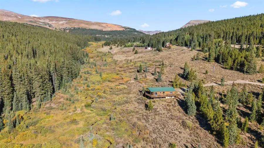 162 S Silk Sisters Place, Fairplay, CO 80440 - #2