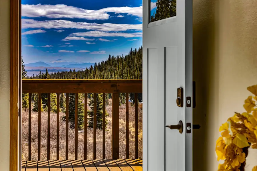 162 S Silk Sisters Place, Fairplay, CO 80440 - #3