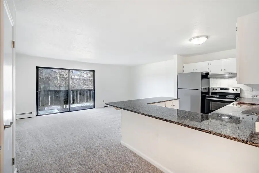 893 Straight Creek Drive #203, Dillon, CO 80435 - #2