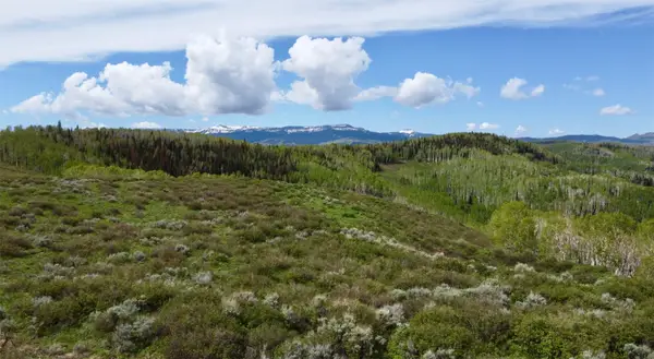 TBD Silverado Road, Oak Creek, CO 80467