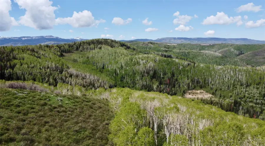 TBD Silverado Road, Oak Creek, CO 80467 - #2