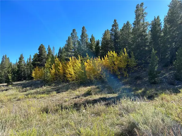 TBD W Second Street, Alma, CO 80420