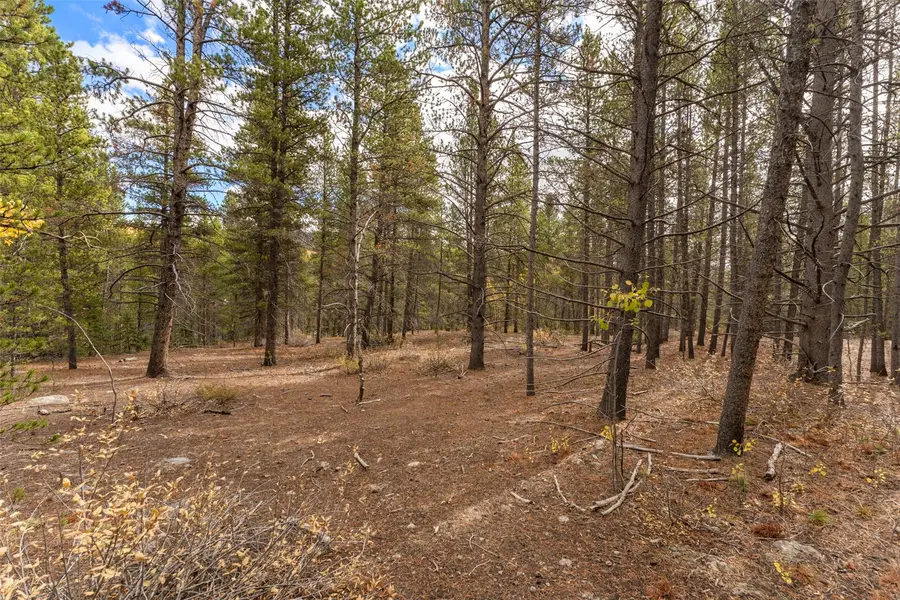 TBD W Second Street, Alma, CO 80420 - #2