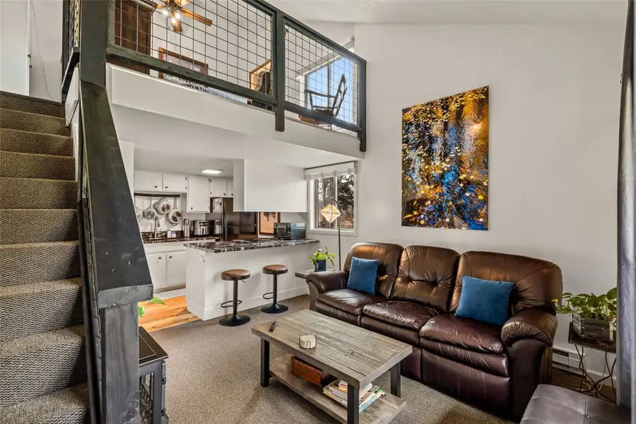 970 Confluence Court #5, Steamboat Springs, CO 80487 - #3