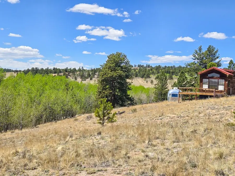 487 Indian Lane, Hartsel, CO 80449 - #1
