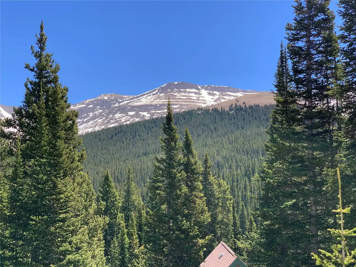 0089 Cr 670, Breckenridge, CO 80424 - #1