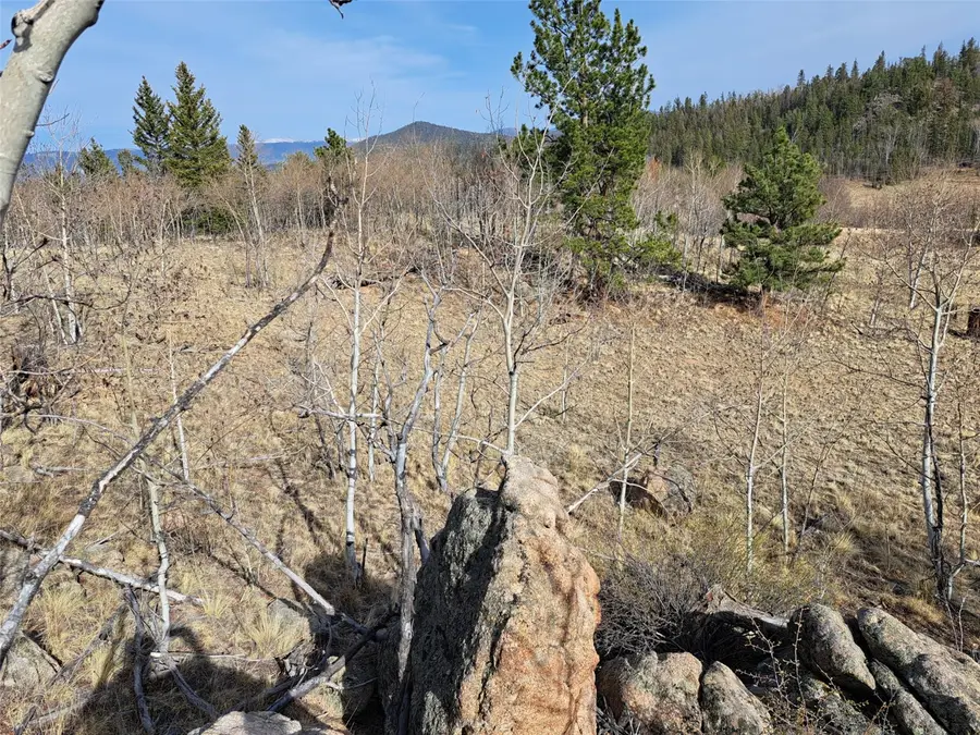 93 Wyandot Way, Como, CO 80432 - #2