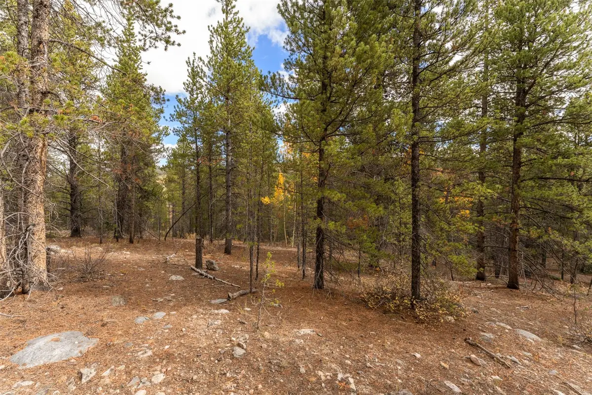 TBD 10th, Alma, CO 80420 - #1