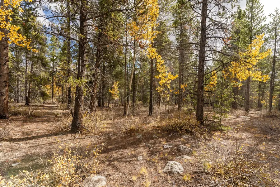 TBD 10th, Alma, CO 80420 - #2