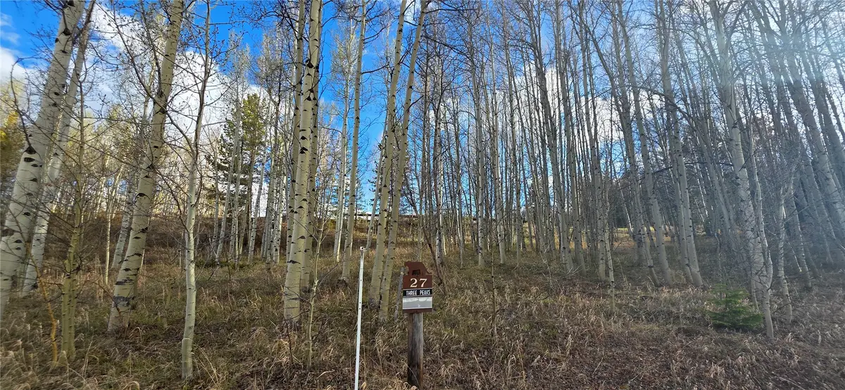 2180 Currant Way, Silverthorne, CO 80498 - #1