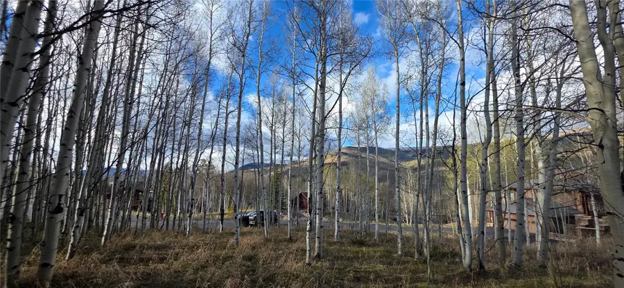 2180 Currant Way, Silverthorne, CO 80498 - #3