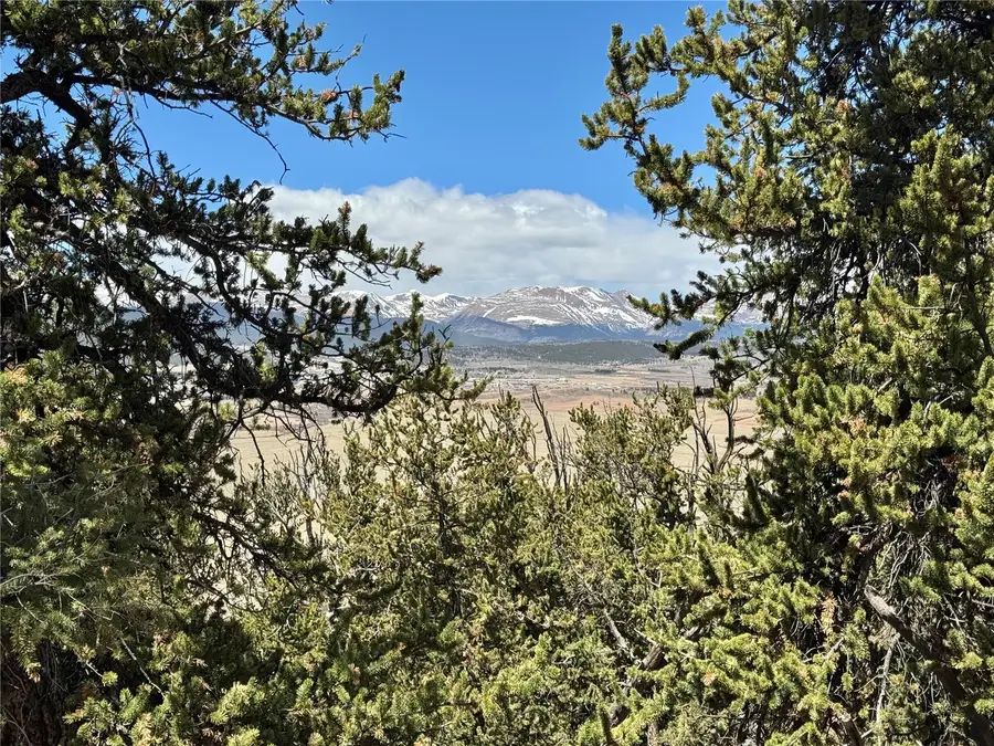 5013 Middle Fork Vista, Fairplay, CO 80440 - #2