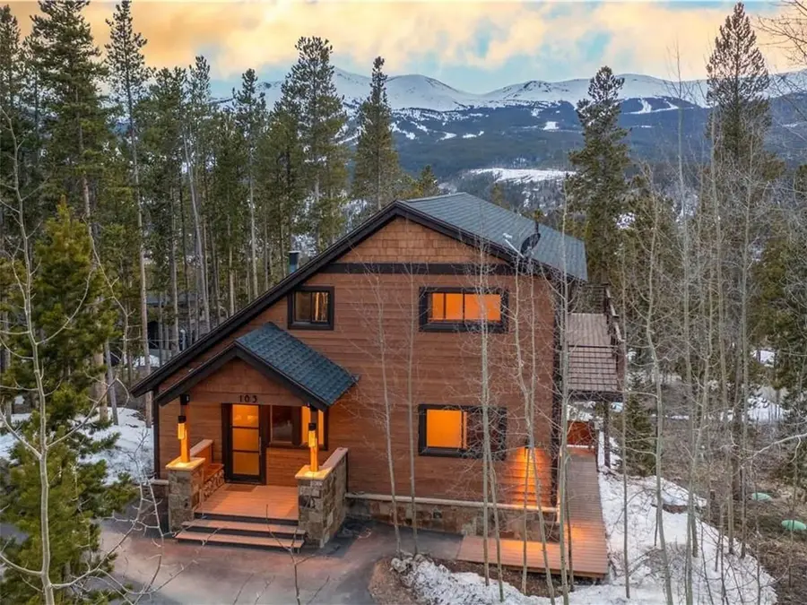 103 Bearing Tree Road, Breckenridge, CO 80424 - #2