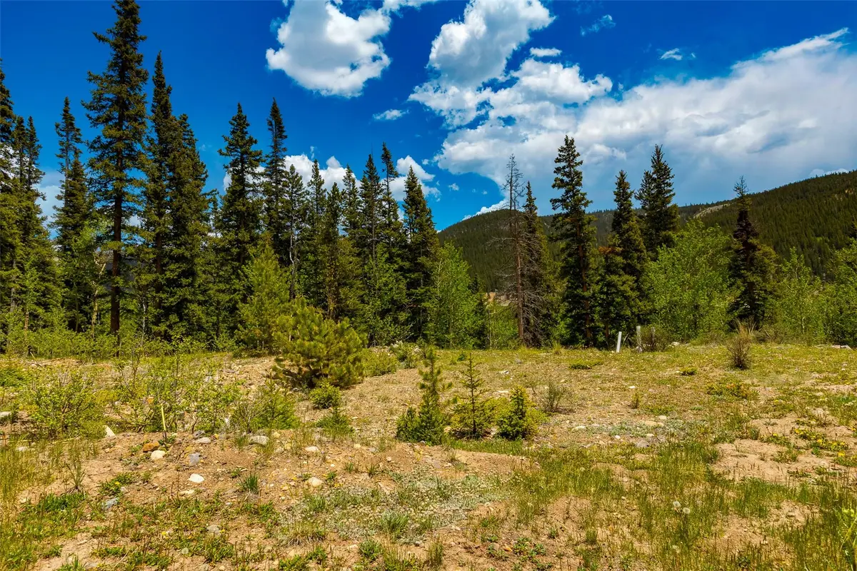 522 Quartzville Road, Alma, CO 80420 - #1