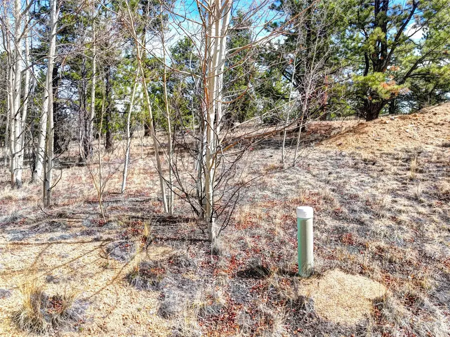 101 Patch Court, Como, CO 80432 - #3