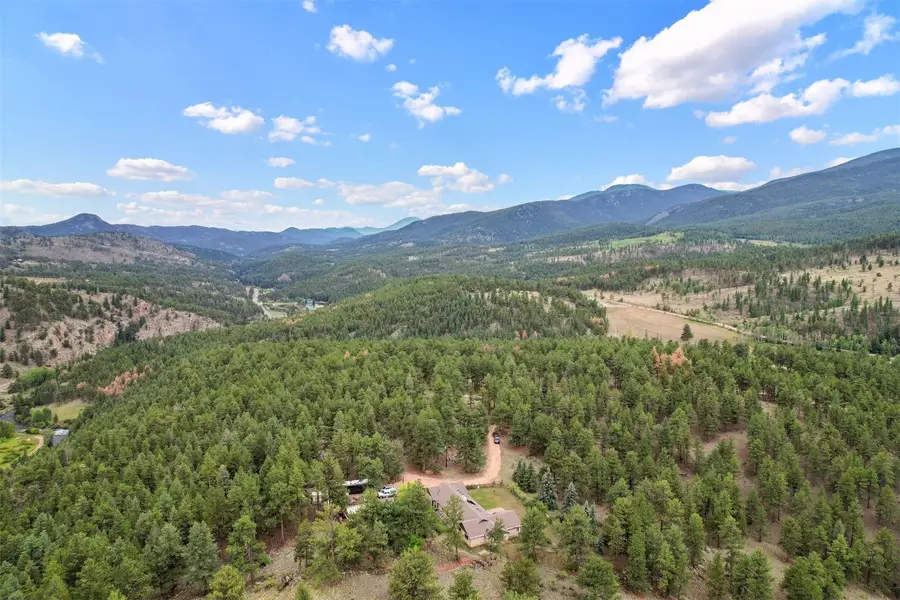 901 Cr 64, Bailey, CO 80421 - #2