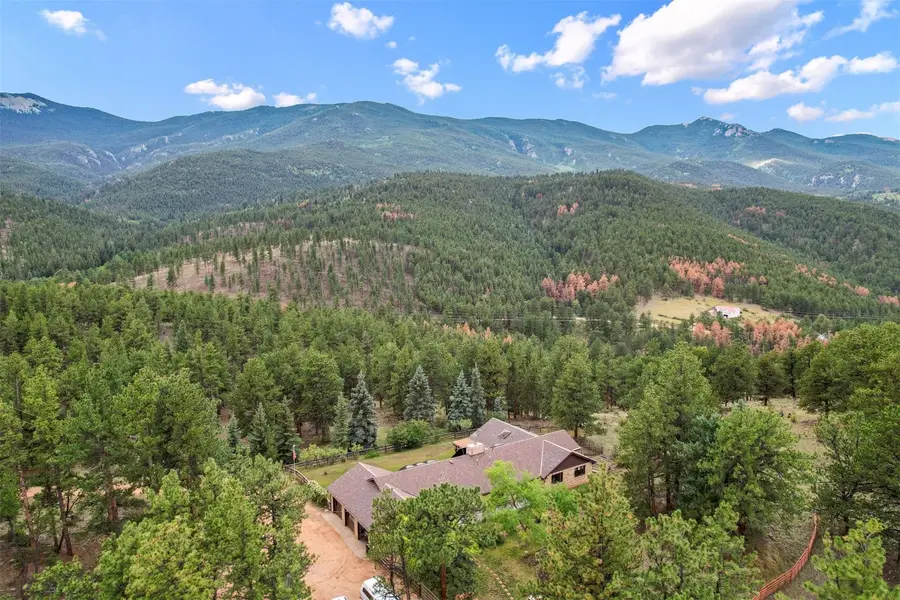 901 Cr 64, Bailey, CO 80421 - #3