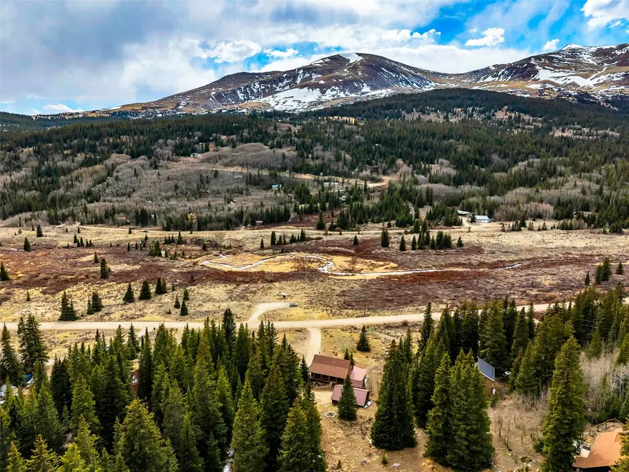 2246 County Road 4, Alma, CO 80420 - #2