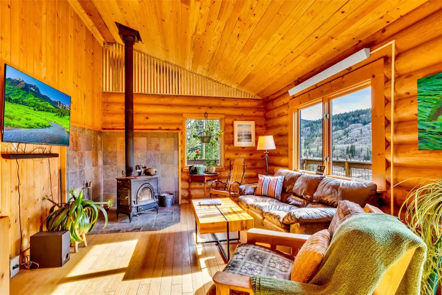 2246 County Road 4, Alma, CO 80420 - #3