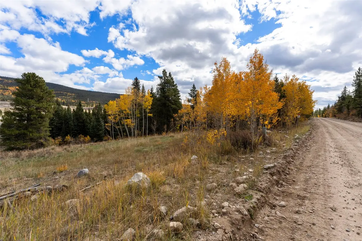 TBD0 19th, Alma, CO 80420 - #1