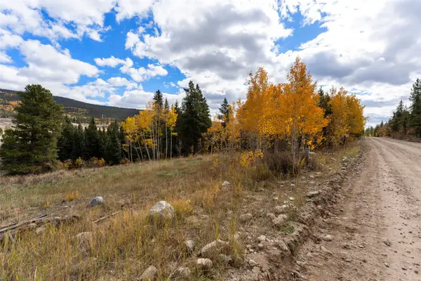 TBD0 19th, Alma, CO 80420