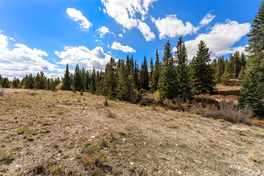 TBD0 19th, Alma, CO 80420 - #2