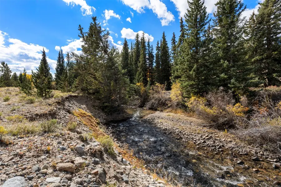 TBD0 19th, Alma, CO 80420 - #3