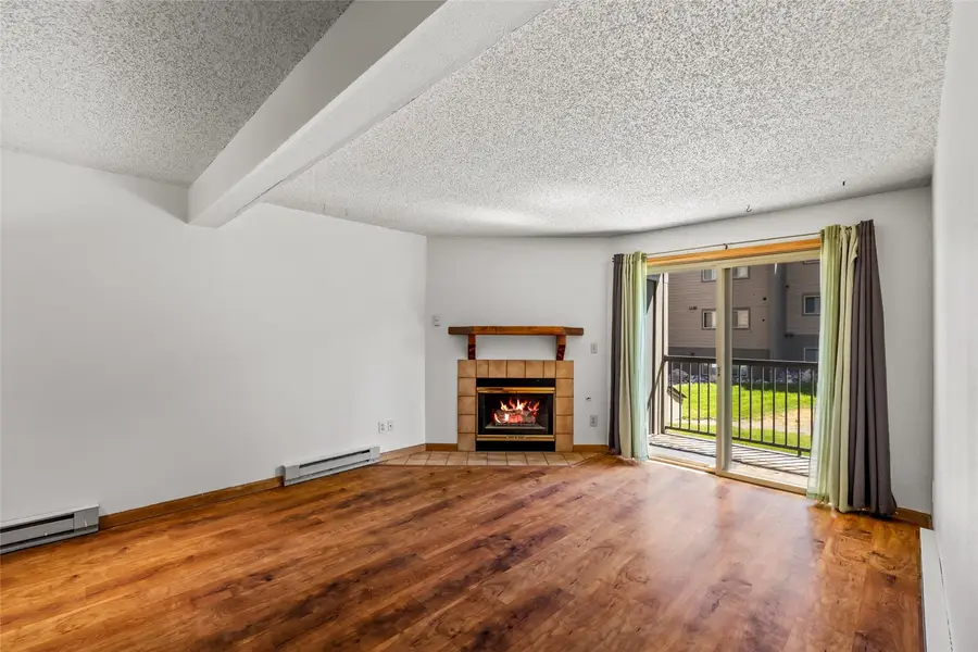 1525 Shadow Run Frontage #208, Steamboat Springs, CO 80487 - #3